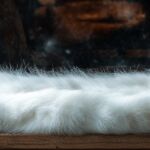 A lightweight and versatile fur, cherished for its softness and subtle elegance.